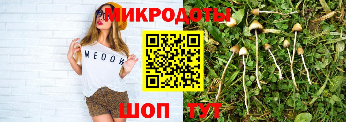Галлюциногенные грибы MAGIC MUSHROOMS Ялуторовск